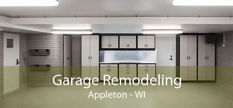 Garage Remodeling Appleton - WI