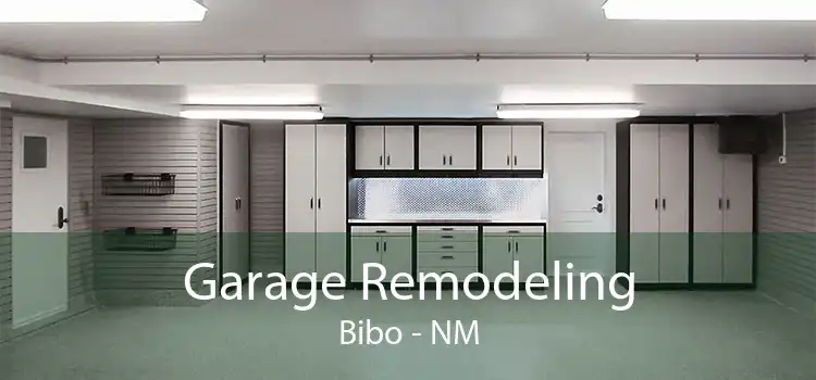 Garage Remodeling Bibo - NM