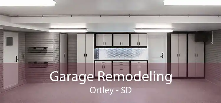 Garage Remodeling Ortley - SD