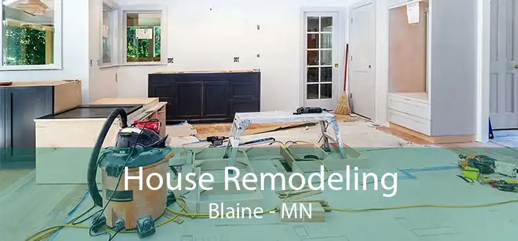 House Remodeling Blaine - MN