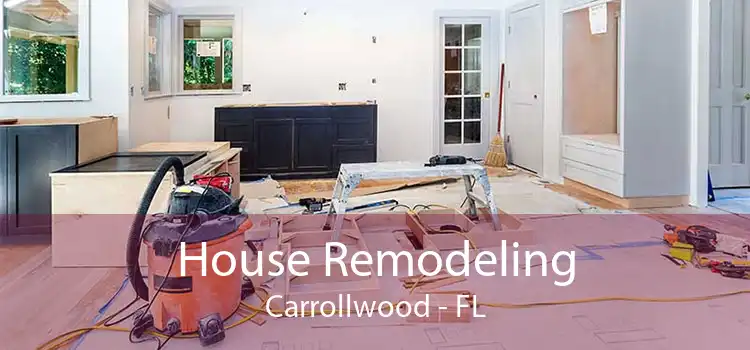 House Remodeling Carrollwood - FL
