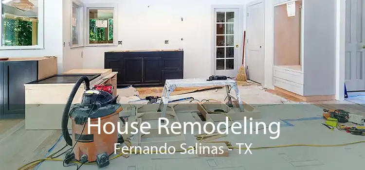 House Remodeling Fernando Salinas - TX