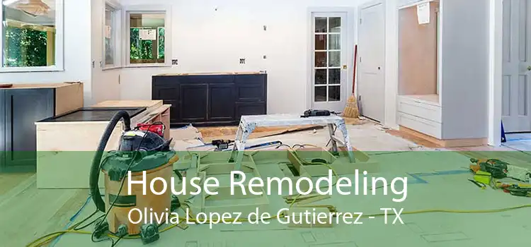 House Remodeling Olivia Lopez de Gutierrez - TX