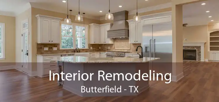 Interior Remodeling Butterfield - TX
