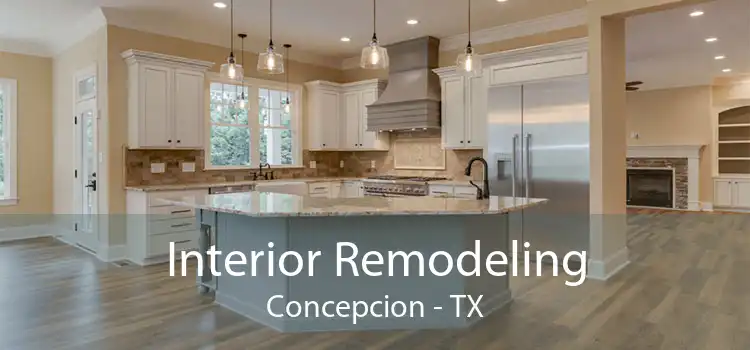 Interior Remodeling Concepcion - TX
