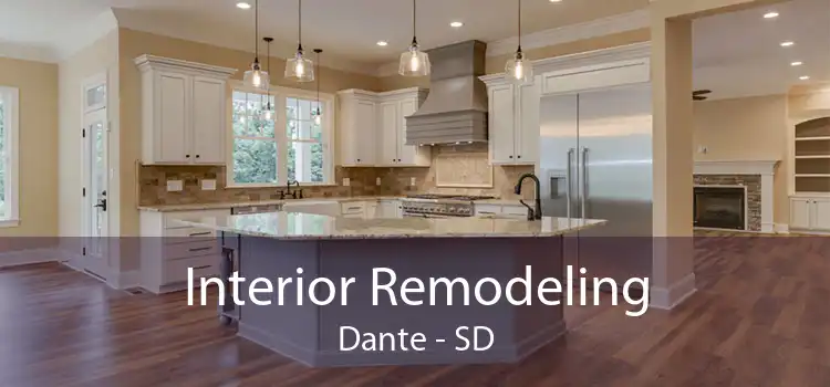 Interior Remodeling Dante - SD