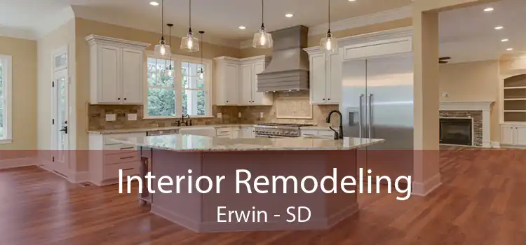 Interior Remodeling Erwin - SD