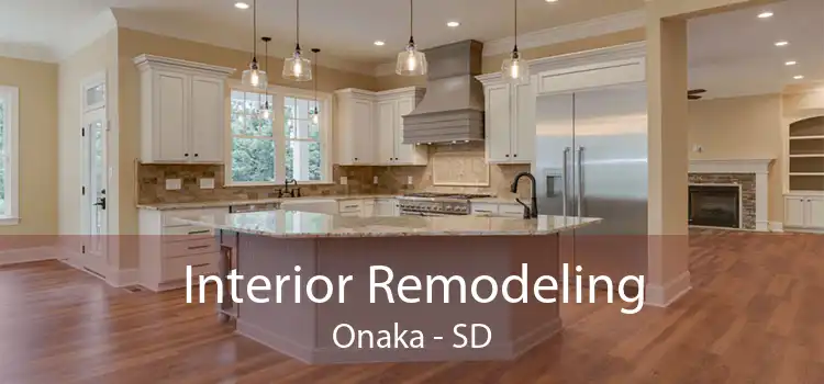 Interior Remodeling Onaka - SD