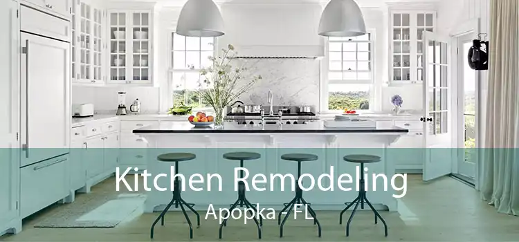 Kitchen Remodeling Apopka - FL