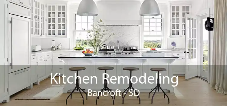 Kitchen Remodeling Bancroft - SD
