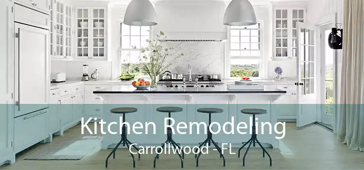 Kitchen Remodeling Carrollwood - FL