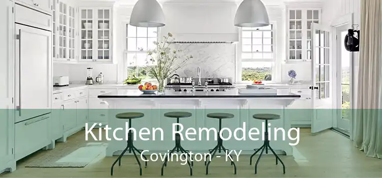 Kitchen Remodeling Covington - KY