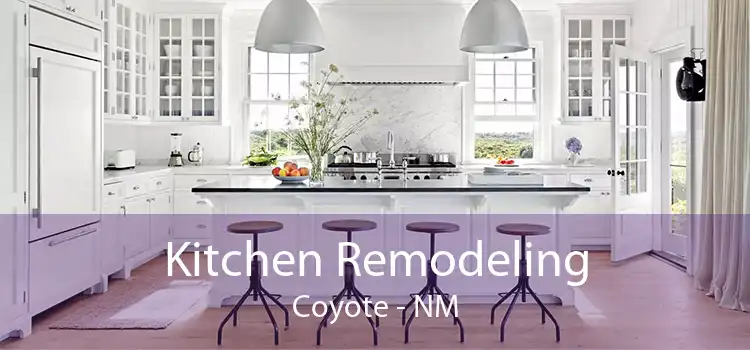 Kitchen Remodeling Coyote - NM