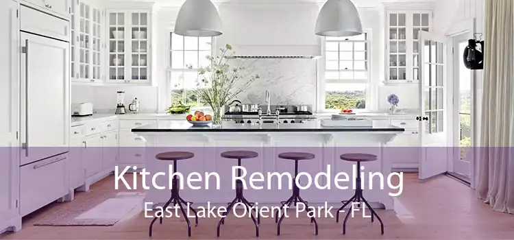 Kitchen Remodeling East Lake Orient Park - FL