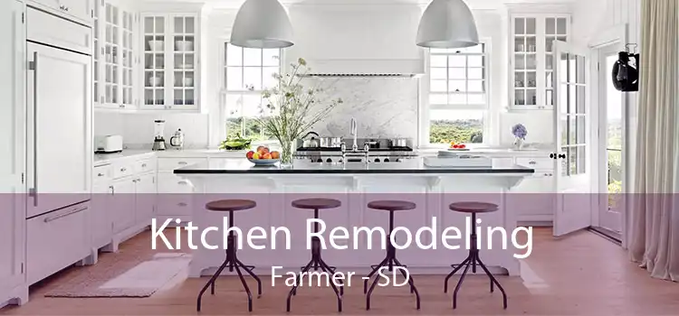 Kitchen Remodeling Farmer - SD