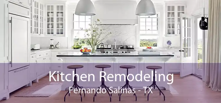 Kitchen Remodeling Fernando Salinas - TX