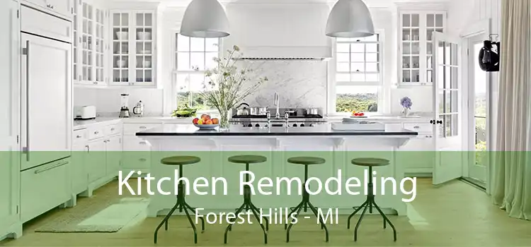 Kitchen Remodeling Forest Hills - MI