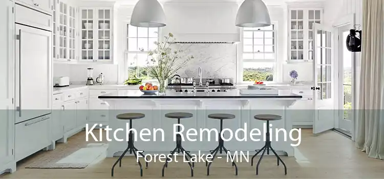 Kitchen Remodeling Forest Lake - MN
