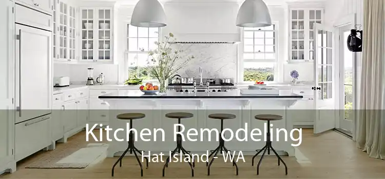 Kitchen Remodeling Hat Island - WA