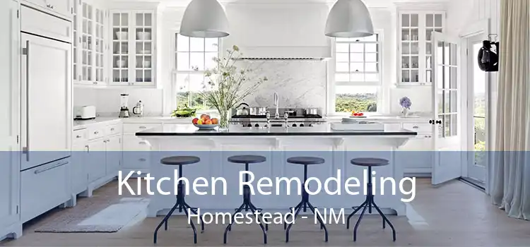 Kitchen Remodeling Homestead - NM