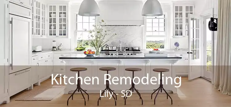 Kitchen Remodeling Lily - SD