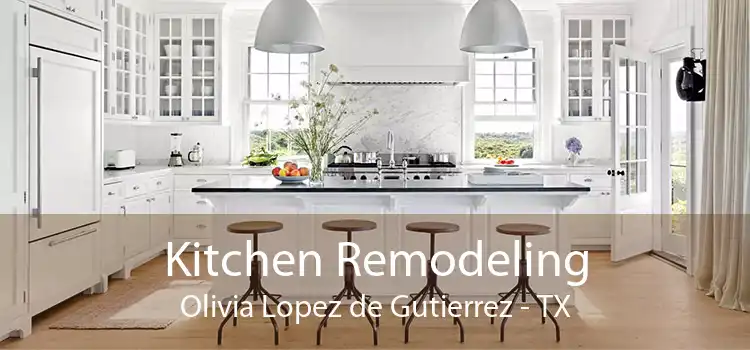 Kitchen Remodeling Olivia Lopez de Gutierrez - TX