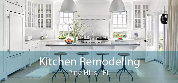 Kitchen Remodeling Pine Hills - FL