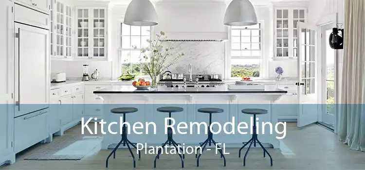 Kitchen Remodeling Plantation - FL