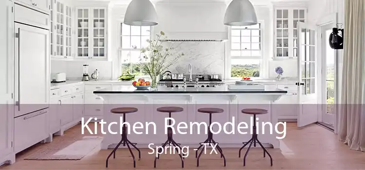 Kitchen Remodeling Spring - TX