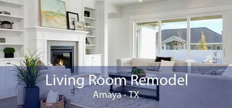 Living Room Remodel Amaya - TX