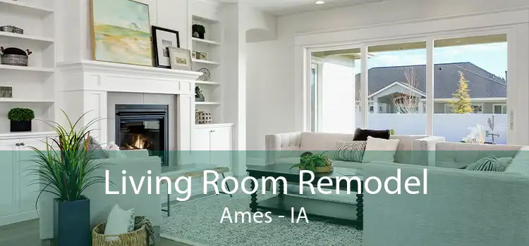 Living Room Remodel Ames - IA
