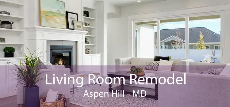 Living Room Remodel Aspen Hill - MD