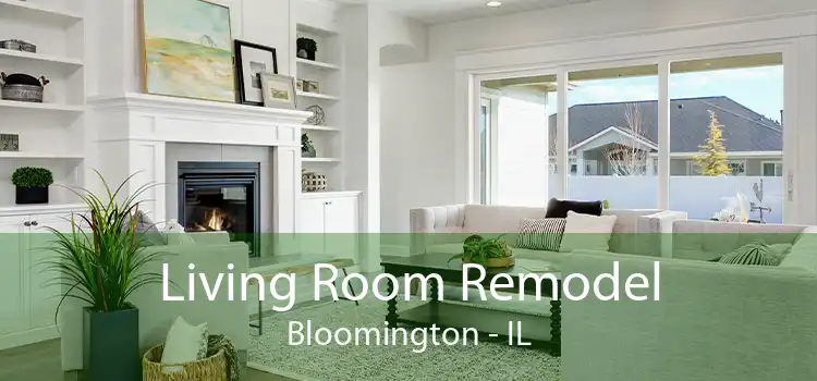 Living Room Remodel Bloomington - IL