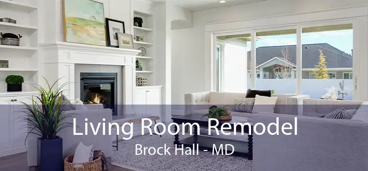Living Room Remodel Brock Hall - MD
