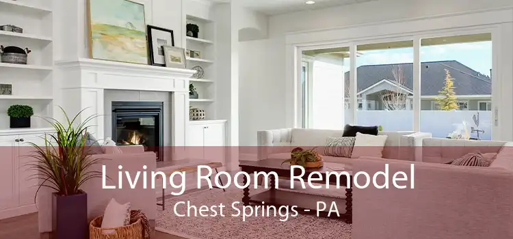 Living Room Remodel Chest Springs - PA