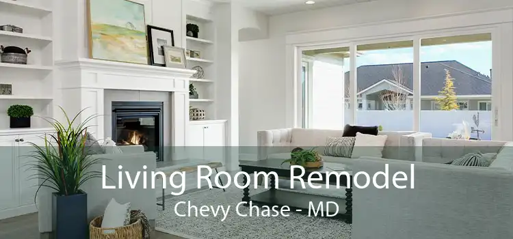 Living Room Remodel Chevy Chase - MD