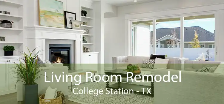 Living Room Remodel College Station - TX