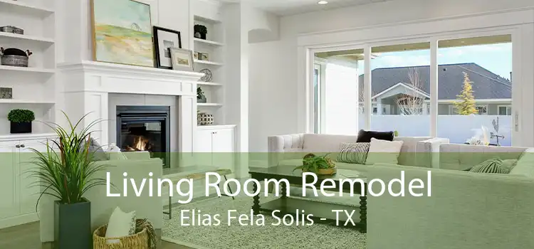 Living Room Remodel Elias Fela Solis - TX