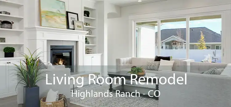 Living Room Remodel Highlands Ranch - CO