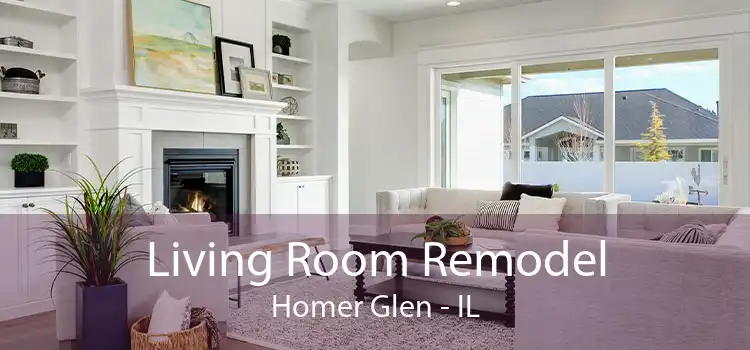 Living Room Remodel Homer Glen - IL
