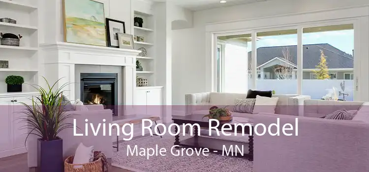 Living Room Remodel Maple Grove - MN