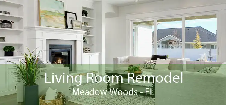 Living Room Remodel Meadow Woods - FL