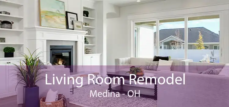 Living Room Remodel Medina - OH
