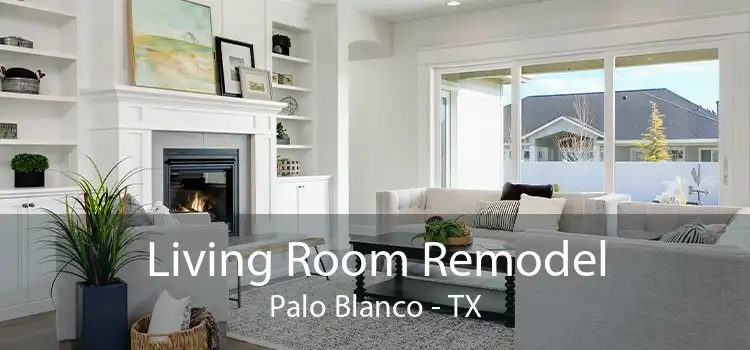 Living Room Remodel Palo Blanco - TX