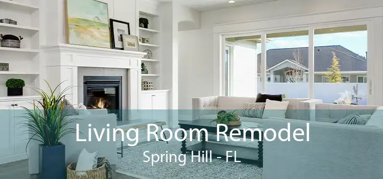 Living Room Remodel Spring Hill - FL