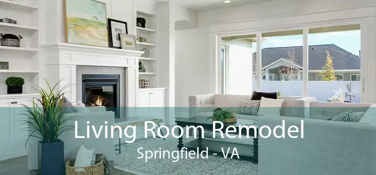 Living Room Remodel Springfield - VA