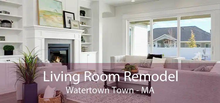 Living Room Remodel Watertown Town - MA