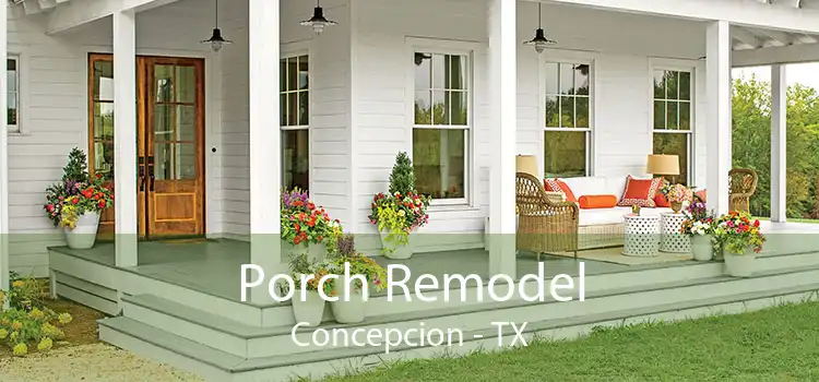 Porch Remodel Concepcion - TX