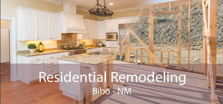 Residential Remodeling Bibo - NM