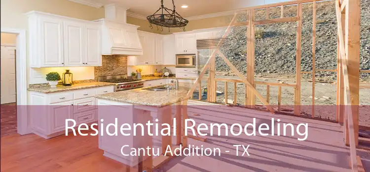 Residential Remodeling Cantu Addition - TX